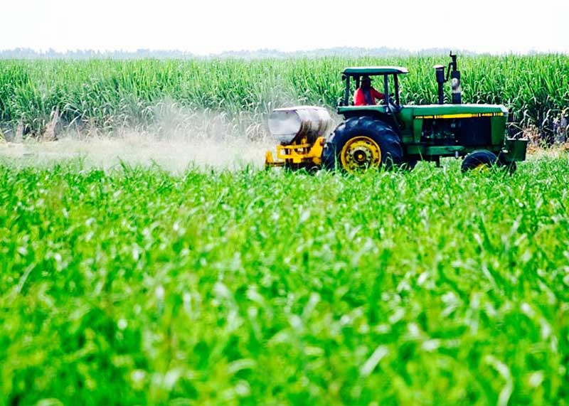 Envios neumáticos en agroindustria